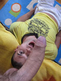 pollon macho